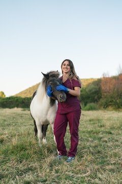 Female equine veterinarian examining pony in field