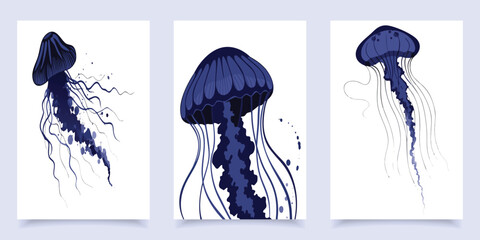 Set of dark blue jellyfish vector illustrations medusa ocean life isolated on white background. © Shofikul islam