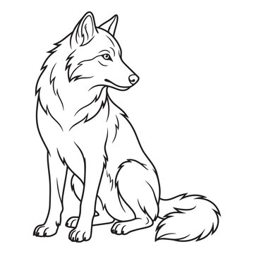 Sitting wolf looking side coloring page illustration in black and white line art.