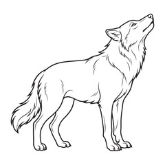 Obraz premium Stunning line art illustration of a wild wolf howling at the moon for your designs.