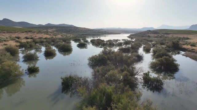 Cola del embalse del Guadalteba en la provincia de M&aacute;laga, Andaluc&iacute;a	