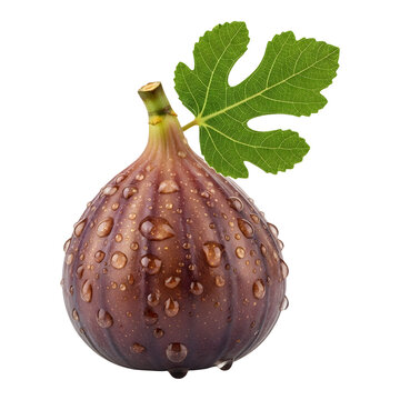 Fresh whole fig fruit with green leaf and transparent background