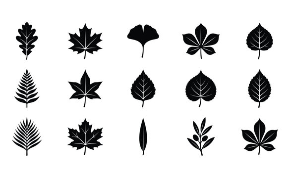 Set of black silhouette icons representing various forest tree leaves isolated on a plain white background for design