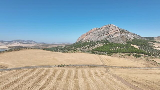 campo de siembra de cereal ya recogido y segado en Andaluc&iacute;a