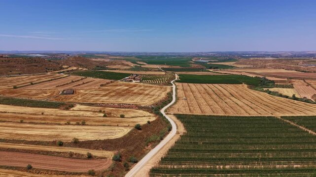 Aerial view of a Spanish rural landscape featuring golden harvested wheat fields and green vineyard rows divided by a winding dirt road, with a farm building amid crops