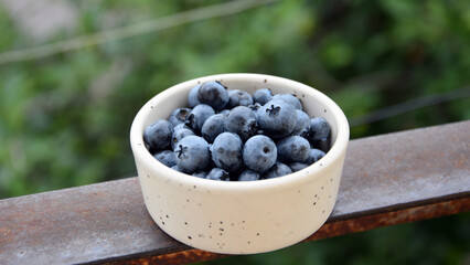 Fresh blueberries in ceramic bowl with natural green background © Yanina
