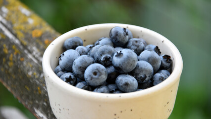 Close up of fresh blueberries in ceramic bowl with natural green bokeh background © Yanina