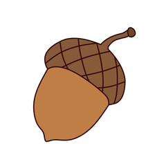 illustration design autumn acorn isolated on white background © nuQia