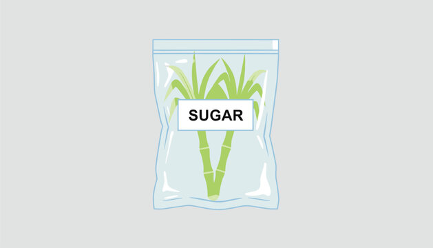 Transparent plastic packaging bag with sugar label contains fresh green sugarcane stalks on clean grey background.