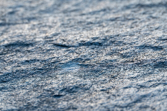 Warm sunlight highlights the detailed texture of a rugged stone surface in this close natural study. Subtle mineral flecks and cracks add depth to the rock's pattern.