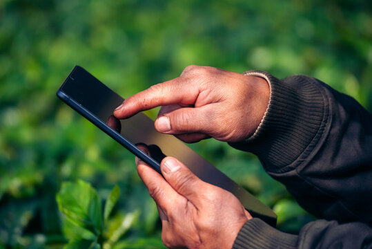 Woman Farmer hands use technology. Smart farmer women holding smartphone digital tablet in eco green farm check quality control coffee tree. Smart farmer women using laptop in eco green coffee farm