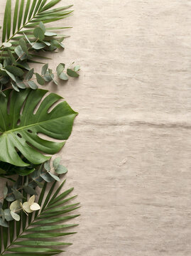 Green monstera and palm leaf summer background