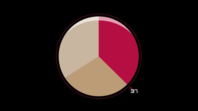 Animated infographic pie chart loading progress
