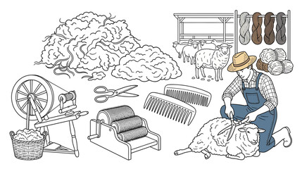 Sheep shearing and wool processing illustration © Didit