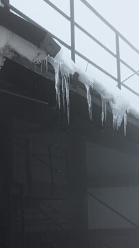 Icicles hanging from a roof gutter melting and dripping water on a cold, foggy winter day, showing the transition from freezing temperatures to a slight warming trend