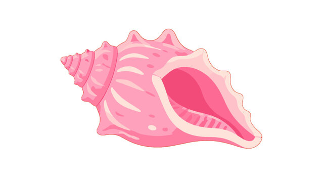 Pink seashell spiral conch illustration on white background