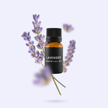Lavender essential oil bottle with dried flowers flying on light purple background. Creative concept of natural aromatherapy, wellness relaxation and herbal remedy for calming mind and stress relief
