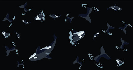 black and white orca whales swimming on dark background abstract shapes and dynamic design © Fendik eps
