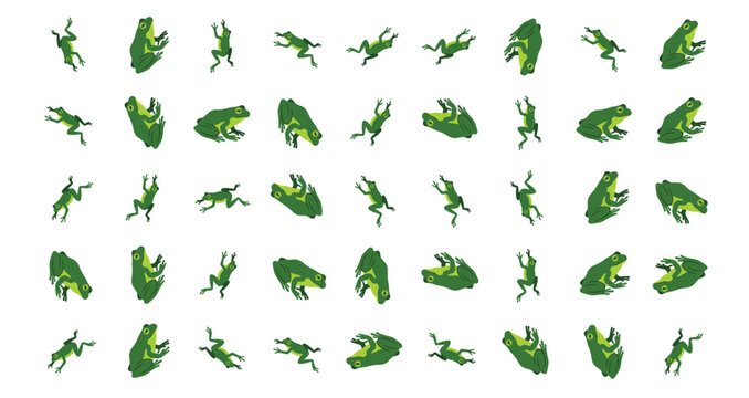 green frogs various dynamic poses silhouettes isolated on white background natural amphibian shapes lively