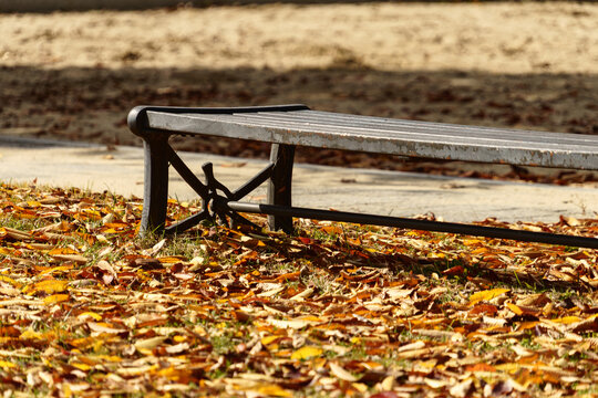 Empty park bench surrounded by fallen autumn leaves.