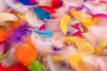 Colorful feather background, top view. © Nikolay
