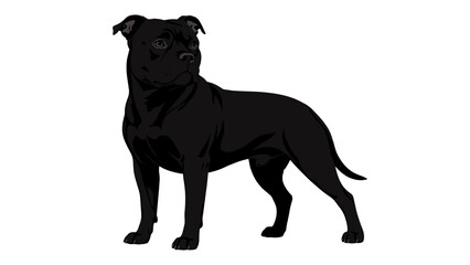 Fototapeta premium Black muscular dog standing in side view vector illustration