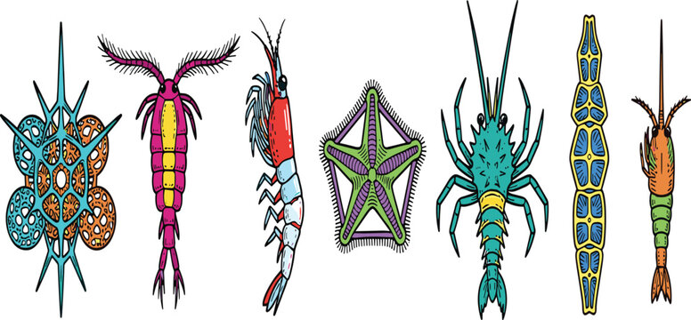 Vintage Marine Plankton and Microscopic Ocean Life Icon Set Featuring Diatom, Copepod, Shrimp Larvae, Radiolarian, and Tiny Deep Sea Crustacean Organisms