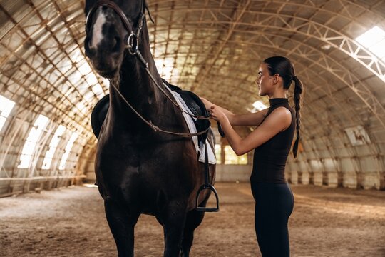 Young woman in black athletic wear adjusts saddle on black horse inside spacious indoor riding arena with curved metal roof and sandy floor