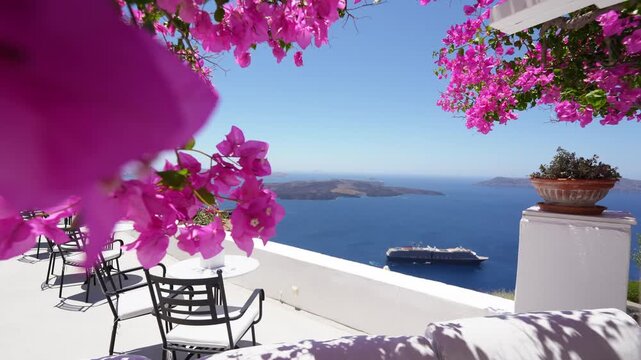 White architecture in Santorini island, Greece. Beautiful terrace with blooming pink flowers. Blue sea and the blue sky at sunny day. Travel and summer vacation concept. 
