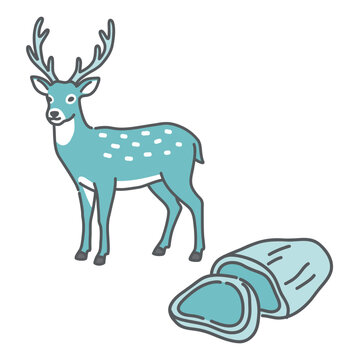 鹿と鹿肉（精肉）のセットイラスト