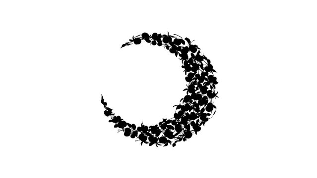 Abstract crescent moon shape on white background.