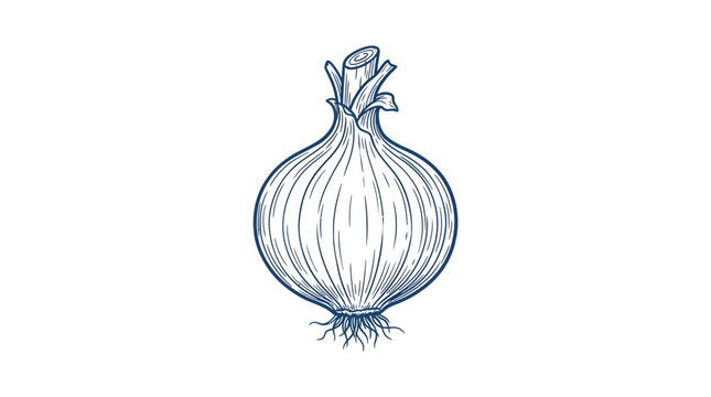 Whole Raw Onion Bulb with Roots Hand Drawn Line Art