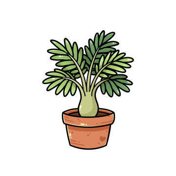 Cute potted lady palem illustration in a simple flat cartoon style with clean outlines and soft colors.