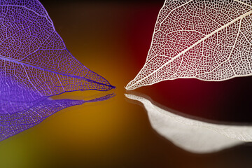 multicolored leaf skeletons on a bright abstract background © dmitr1ch