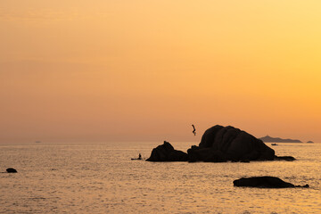 Absprung ins Meer ©  drsg98