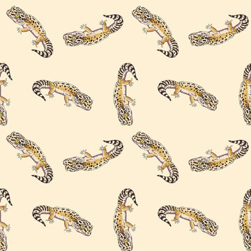 Leopard gecko seamless pattern background