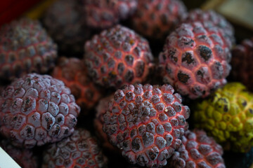 Honey apple  – close up © ProShine Studio