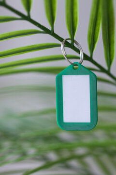 Blank Plastic Keychain Mockup with Tropical Palm Background.