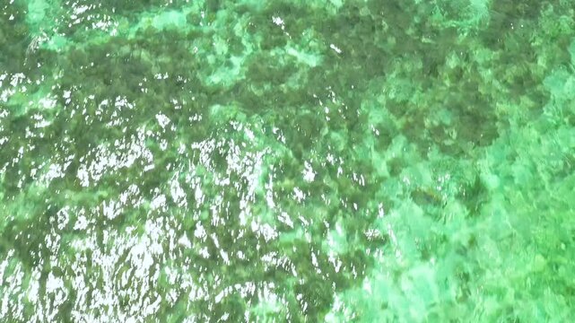 Turquoise sea water for background. Transparent turquoise sea water, natural background. Summer and travel vacation concept.