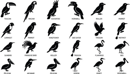 Exotic and Tropical Birds Black Silhouette Vector Icon Set Featuring Toucan Macaw Flamingo Kingfisher Pelican and Hornbill Graphic Elements © mdferozhossain