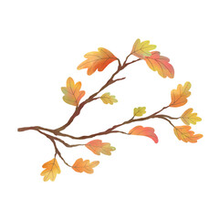 Fototapeta premium Autumn Tree Branch with Leaves Hand-Drawn Illustration