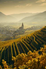 Wachau fall scenery with golden vineyards in beautiful evening light at sunset, Wachau Valley, Lower Austria region, Austria © JFL Photography