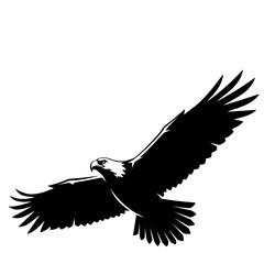 Fototapeta premium A clean black and white silhouette of eagle.