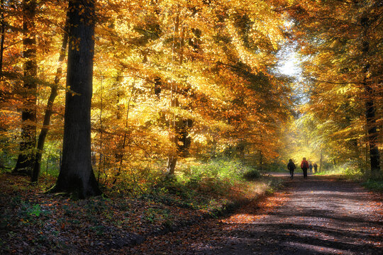 Goldener Oktober in der Eifel