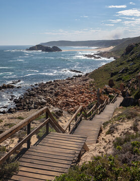 Scenic view from the Point Hike trail in Robberg Nature Reserve, South Africa, featuring a wooden boardwalk with handrails leading down a rugged coastline towards a wild ocean and distant bay.