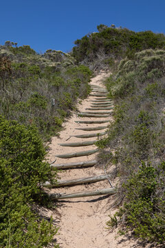 Scenic view of a hiking trail in Robberg Nature Reserve, South Africa, featuring wooden log stairs on a sandy path climbing through coastal fynbos sand dunes under a clear blue sky.