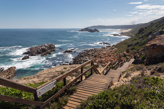 Scenic view from the Point Hike trail in Robberg Nature Reserve, South Africa, featuring a wooden boardwalk with handrails leading down a rugged coastline towards a wild ocean and distant bay.