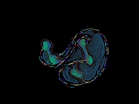 Dynamic organic shapes resembling fluid, topographic maps, or microbiological cell structures.