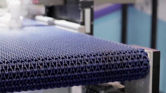 Moving cleaning conveyor belt with hot steam in factory workshop closeup. Sanitation of production line equipment demo to remove dirt and potential hazards
