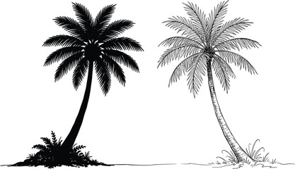 Fototapeta premium Palm tree silhouette and line art vector set black icons